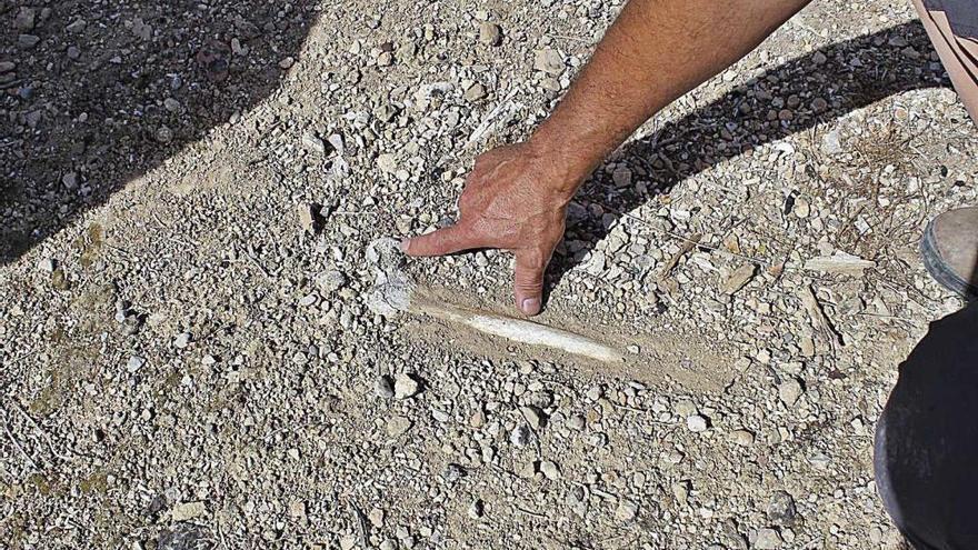 En el suelo del viejo cementerio sobresalen los restos de un fÃ©mur humano.