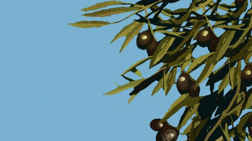 El aceite de oliva, internacional