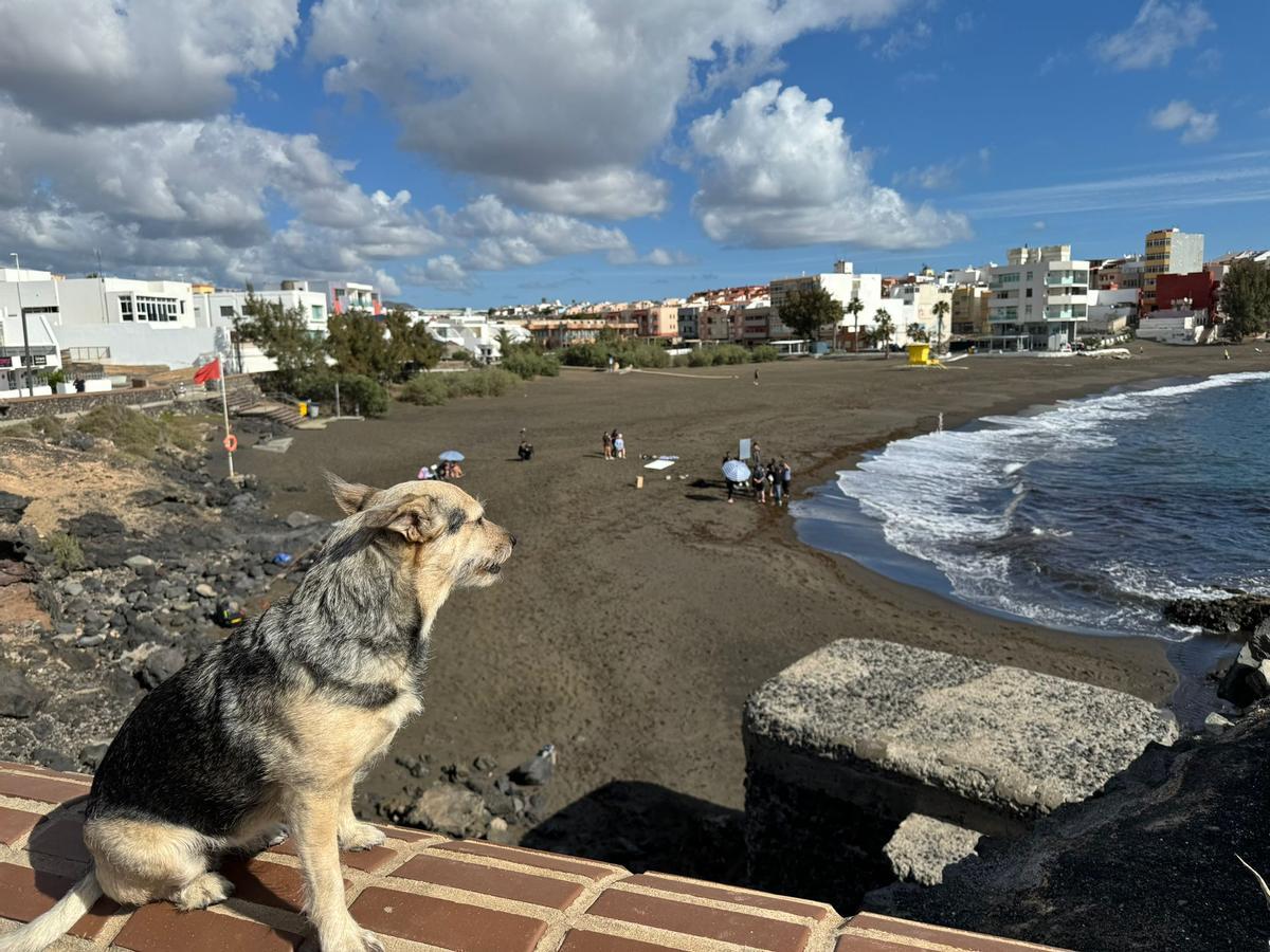 Vista desde la avenida del rodaje en La Garita