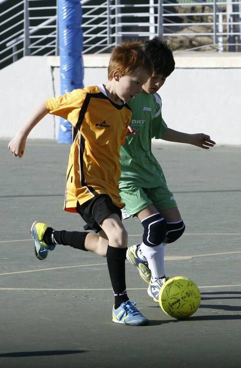 FÚTBOL SALA: La Almozara CP-Josefa Amar y Borbo (serie primera benjamín) / La Almozara-Recarte y Ornat (primera alevín)  / Santo Domingo-Hermanos (serie segundo alevín)