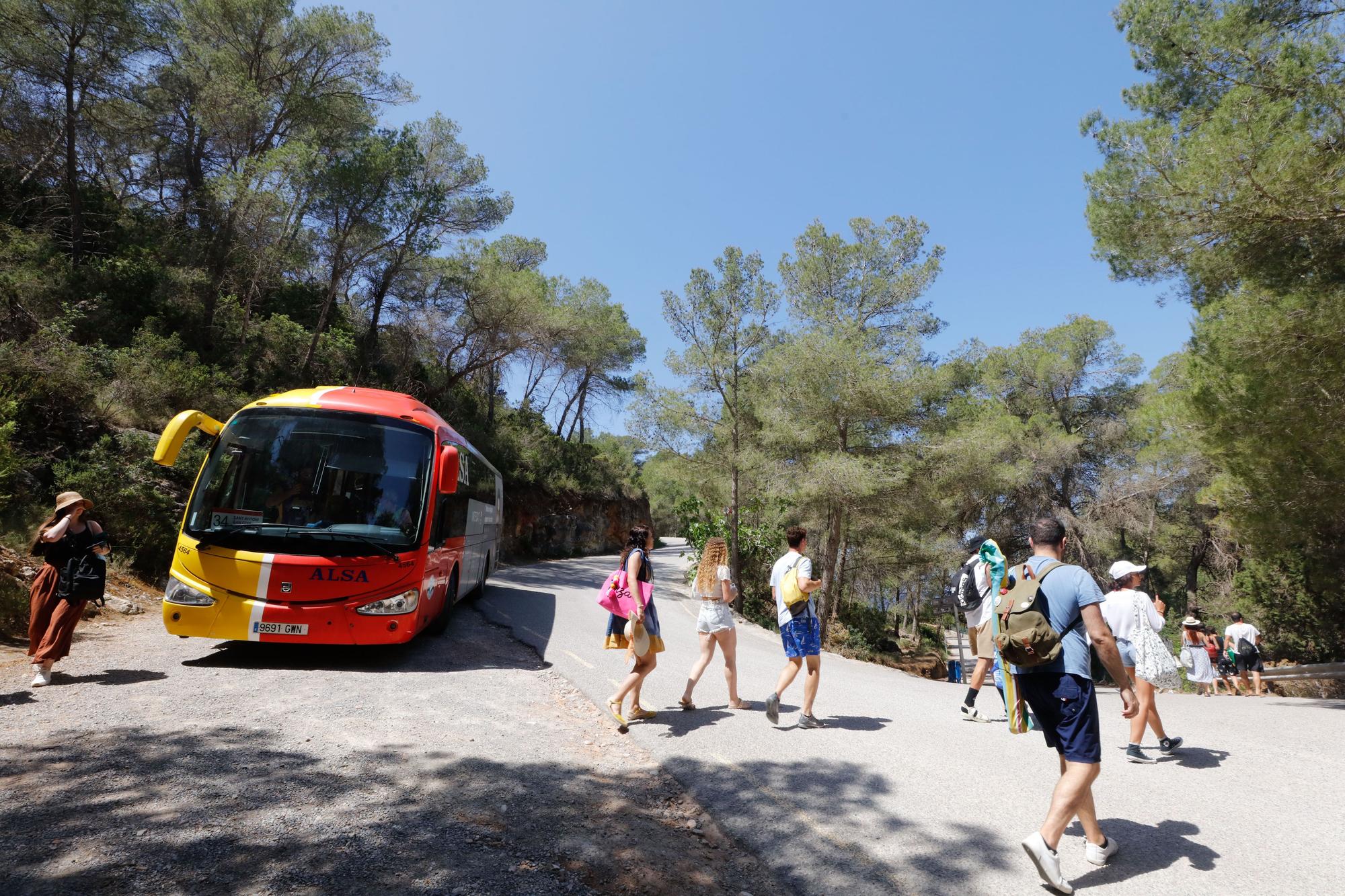 Primer día del servicio de autobús a Cala Salada