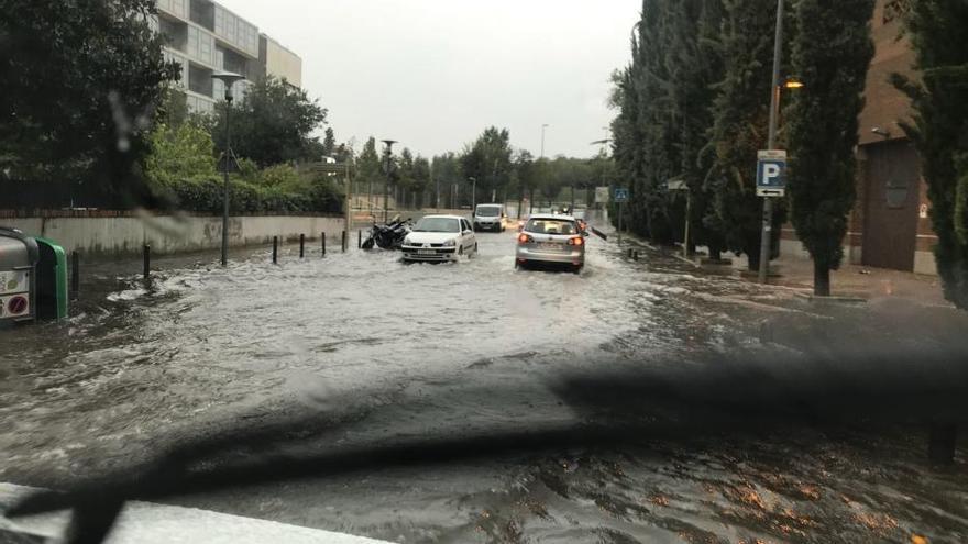 El passeig de la Devesa de Girona.