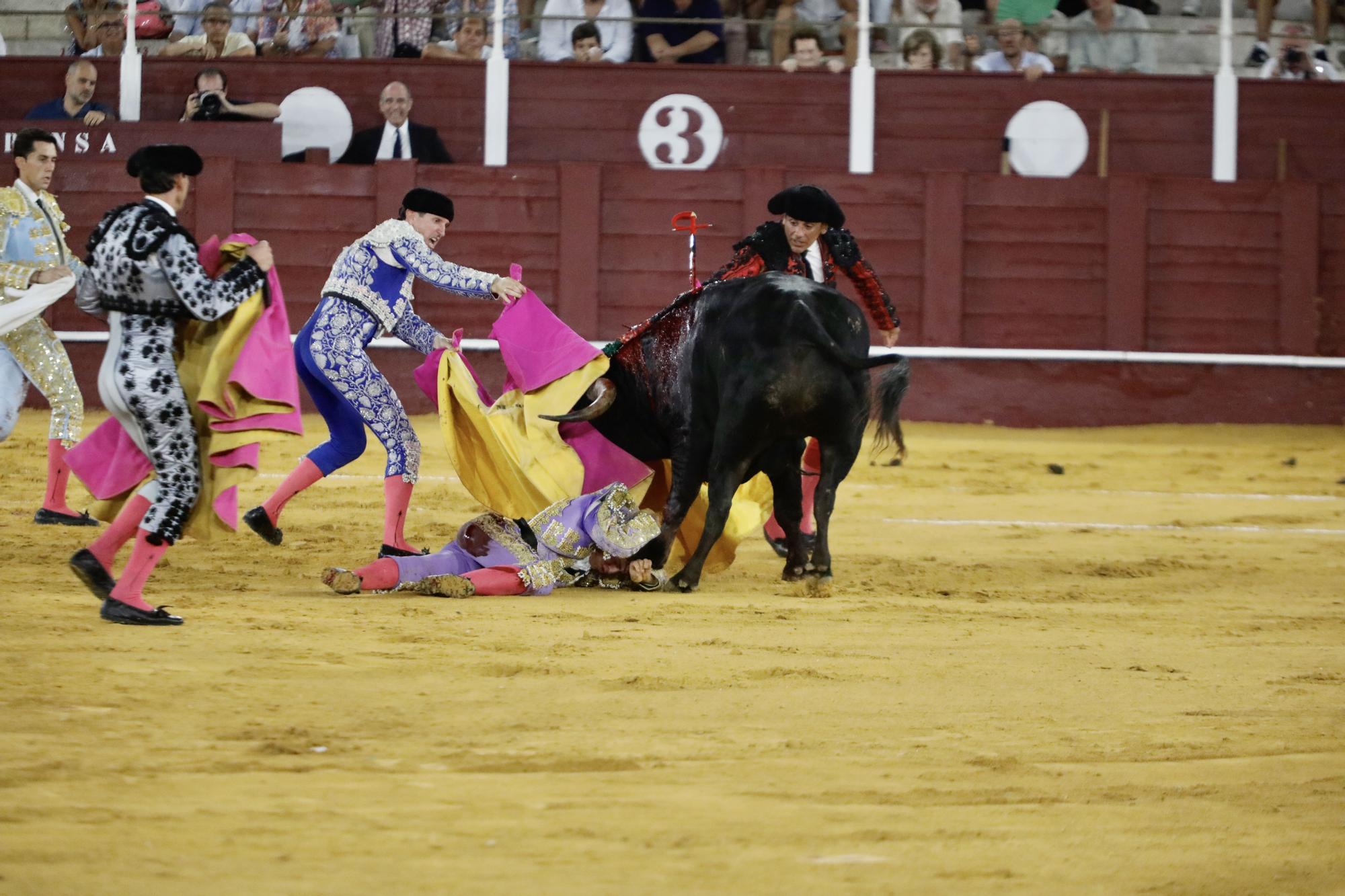 Fotos de la novillada que abre la feria taurina de Málaga