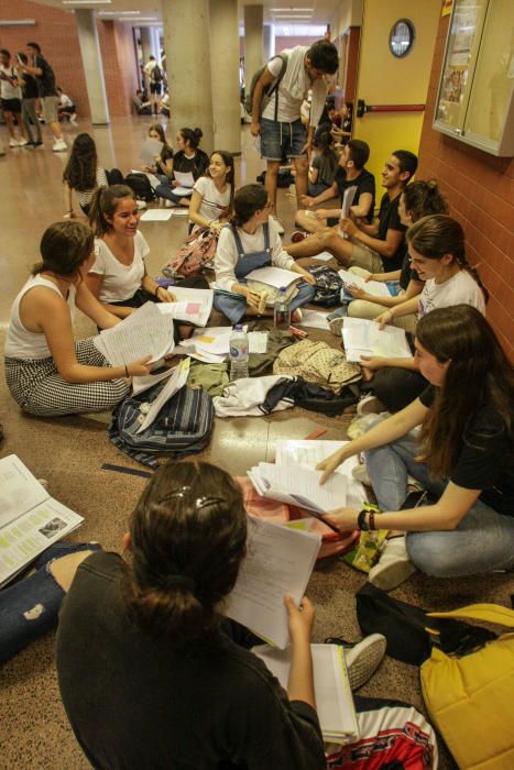 En la UMH durante estos días van a realizar las Pruebas de Acceso a la Universidad un total de 3.498 alumnos.