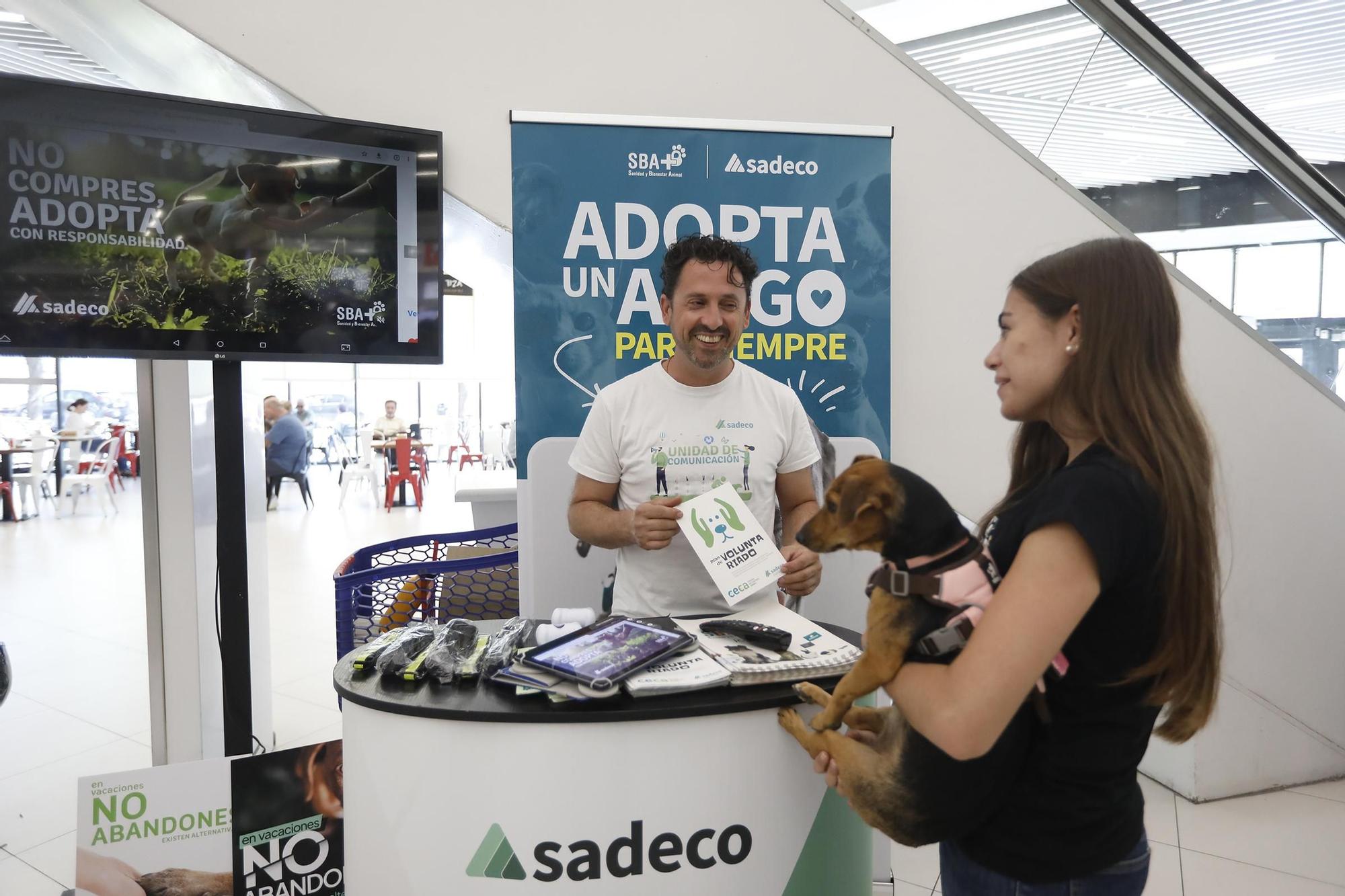 Las imágenes del desfile de perros en adopción en el Centro Comercial La Sierra