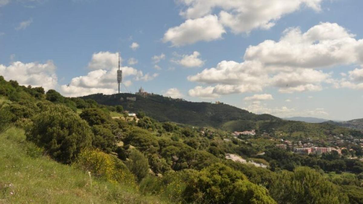 Vistas del Parque Natural de Collserola