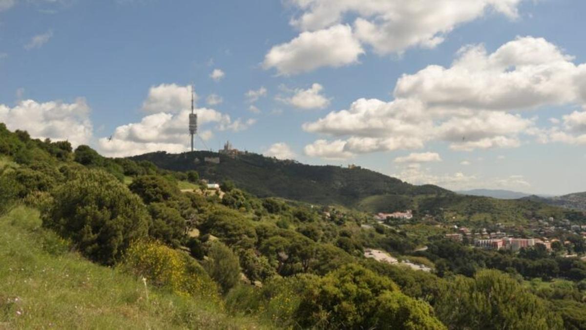 Vistes del Parc Natural de Collserola