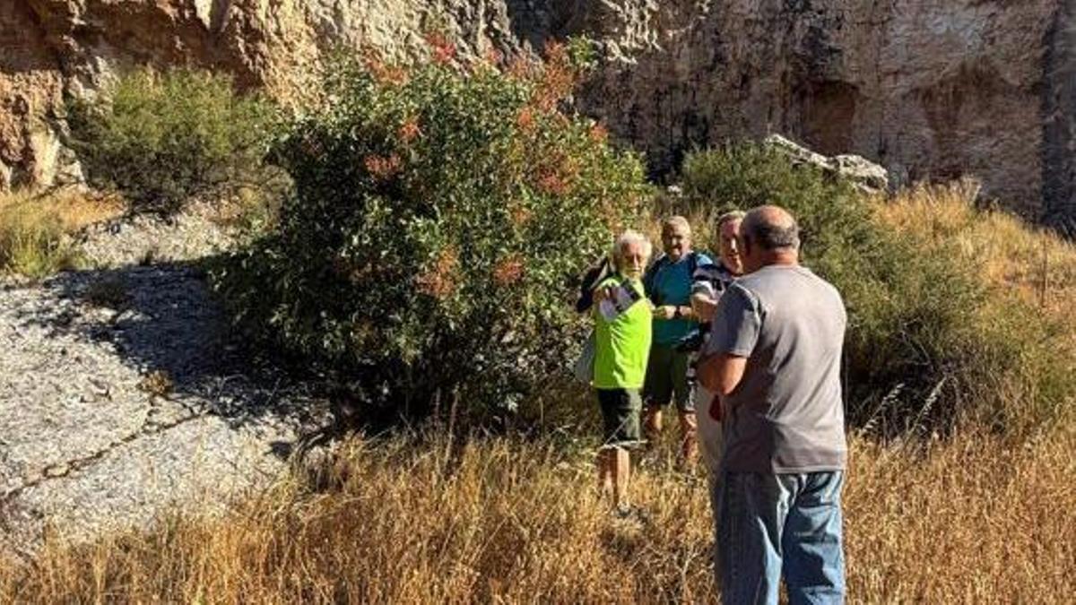 La jornada se desarrolló en la Foz de Zafrané. | SERVICIO ESPECIAL