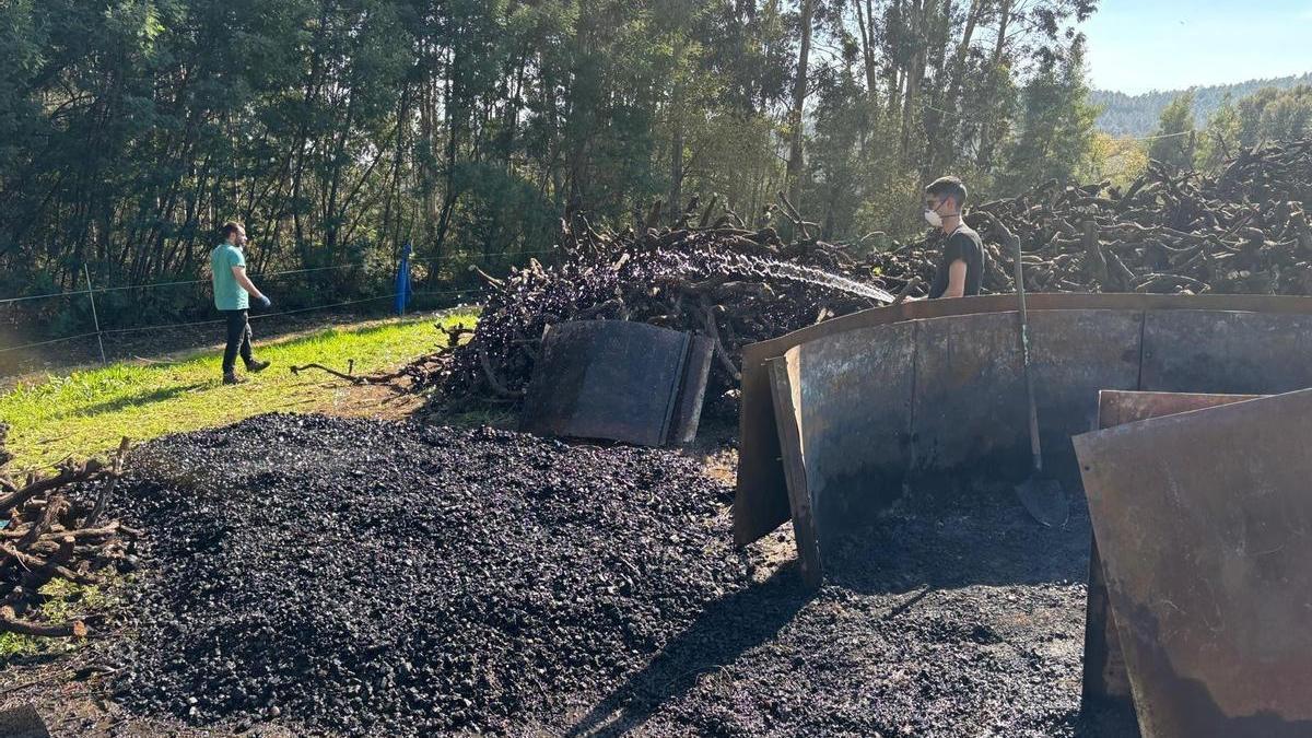 Using Biochar for Sustainable Vineyard Management: The Viti-Valmo Project
