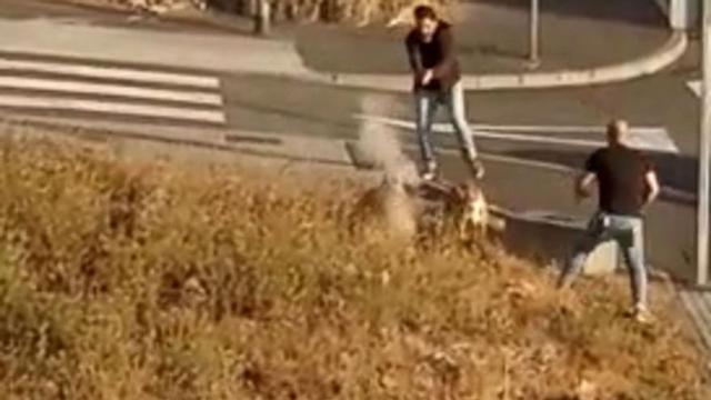 Imagen de la intervención realizada la semana pasada por policías nacionales en San Isidro.
