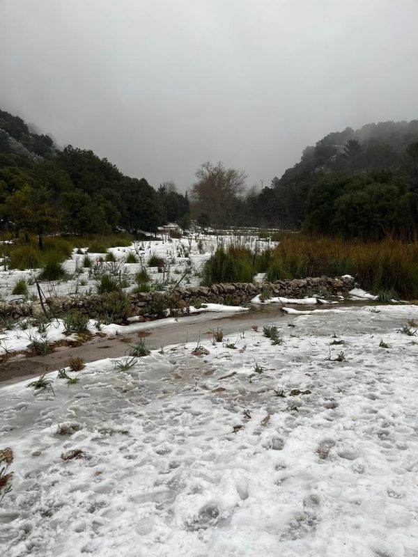 Schnee auf Mallorca – so schneit es in der Tramuntana