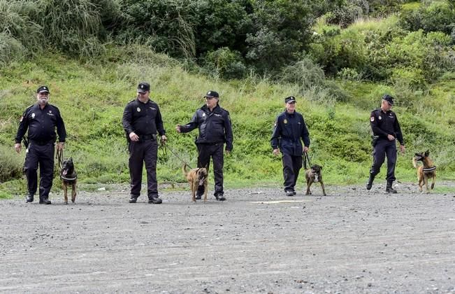 Reportaje a la Unidad Canina de la Policia ...