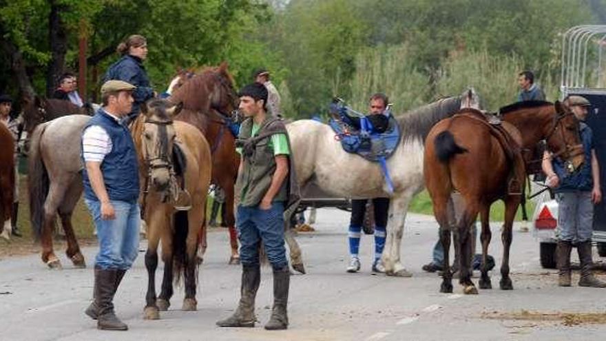 Los aficionados a los caballos tienen una cita en Castrelo. // I.Abella