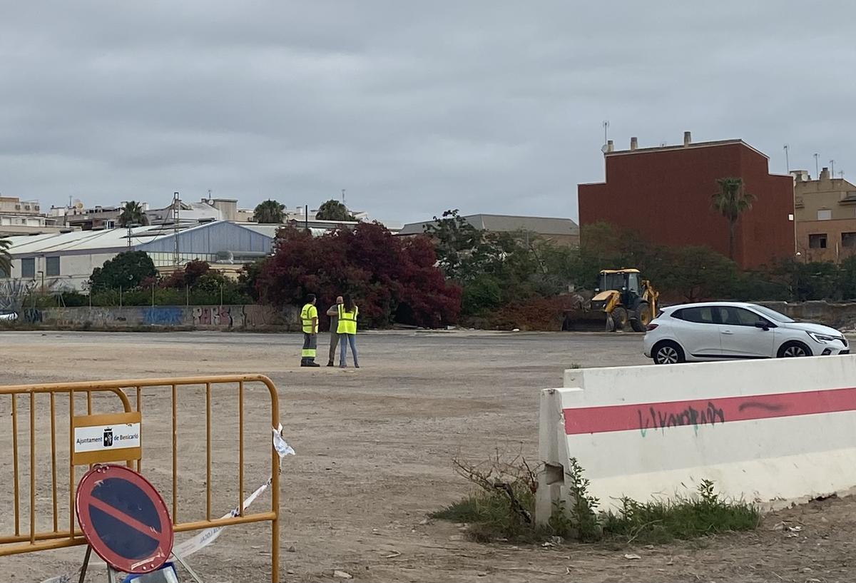 El vallado que ha cercado la zona donde llevarán a cabo el acondicionamiento.