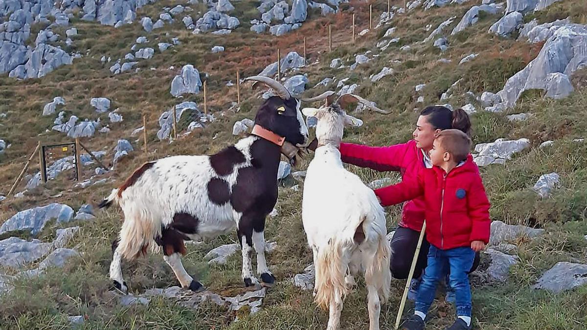 Kaelia Cotera y su hijo Alejandro,  con dos de sus cabras en el puerto. 