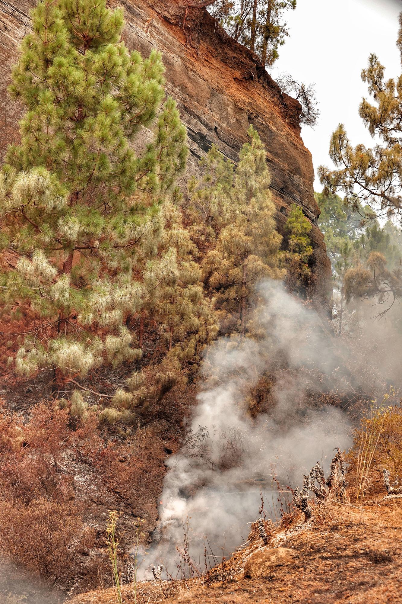 Evolución del incendio en Tenerife