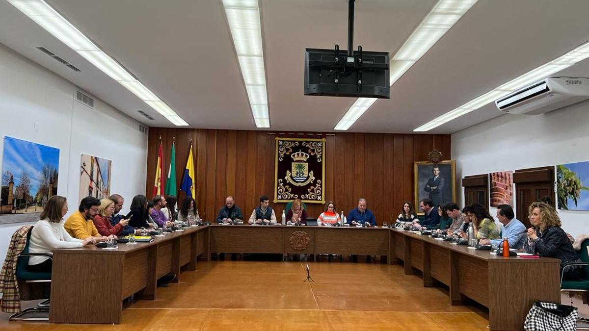 Un momento del Pleno celebrado en el Ayuntamiento de Palma.