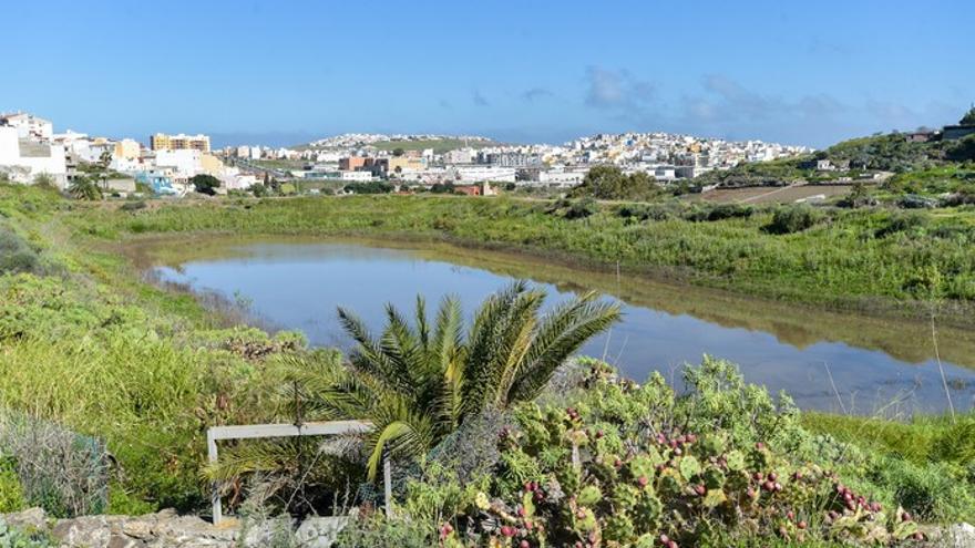 Humedal de la Charca de San Lorenzo