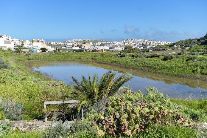 Humedal de la Charca de San Lorenzo