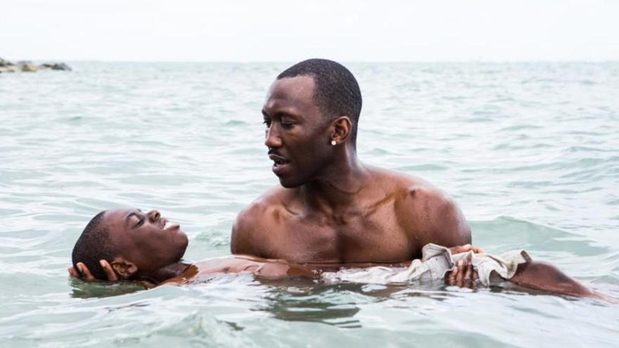 &#039;Moonlight&#039;, a la Filmoteca d´Estiu subtitulada al valencià