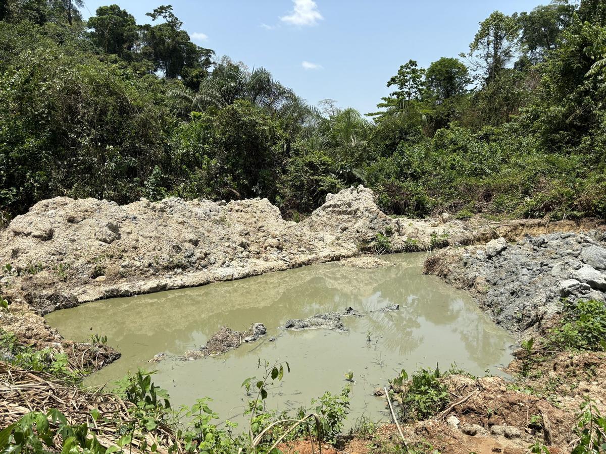 La minería artesanal de oro de aluvión a pequeña escala amenaza importantes zonas de aves debido a la contaminación ambiental por mercurio en Ghana.