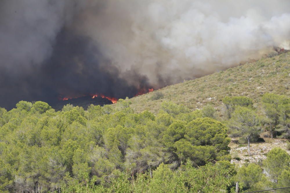 Incendio forestal en Llutxent