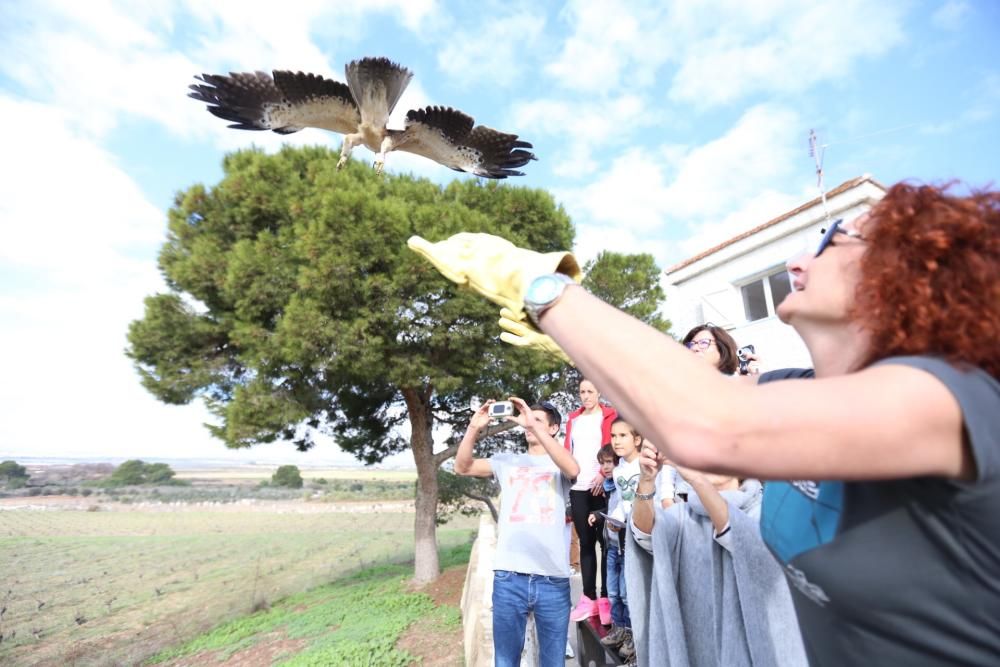 Aniversario parque natural Torrevieja