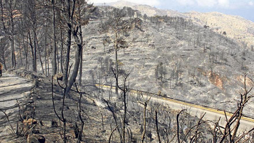 Extinguido el incendio forestal de Andratx 18 días después de declararse