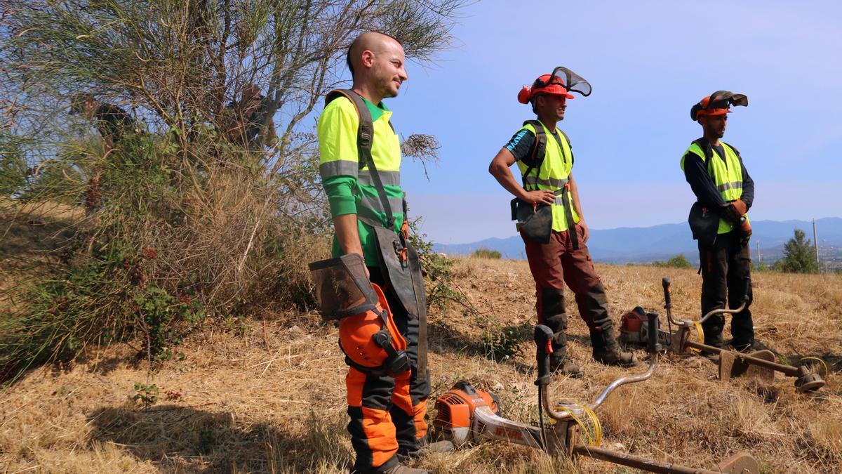 En primer terme el capatàs amb dos reclusos en règim obert que es formen en gestió forestal al Puig de les Basses