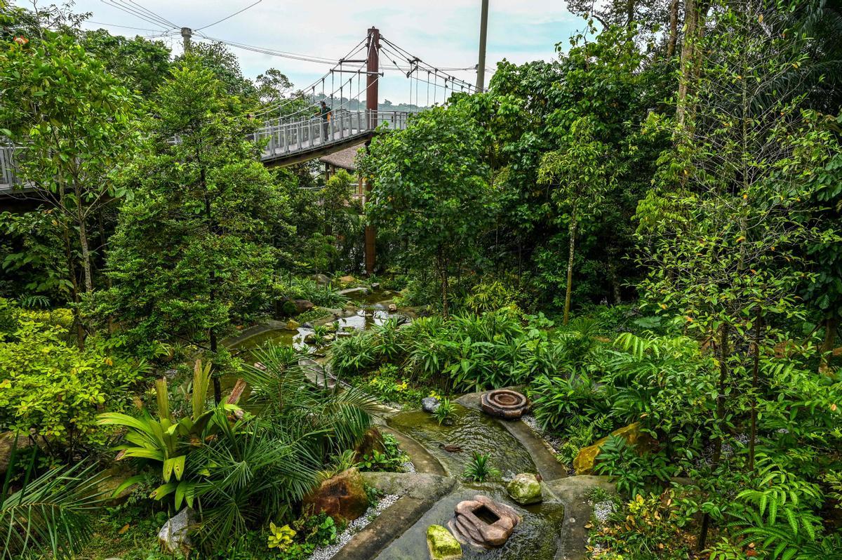 Singapur estrena el parque Paraíso de los pájaros