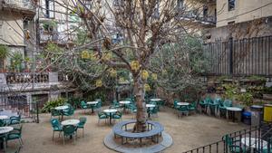 Barcelona expropiarà el local de l’Antic Teatre per preservar-ne l’ús cultural