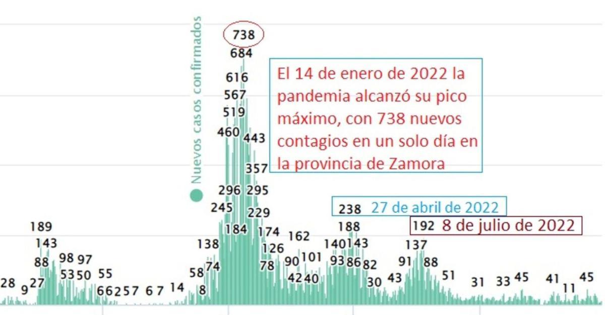 La pandemia batió récords de contagios diarios en este mismo año, 2022 | L.O.Z