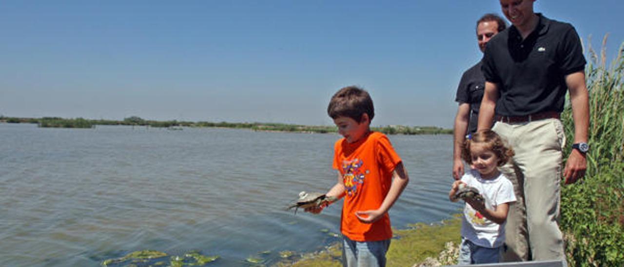 El pulmón de l&#039;Albufera