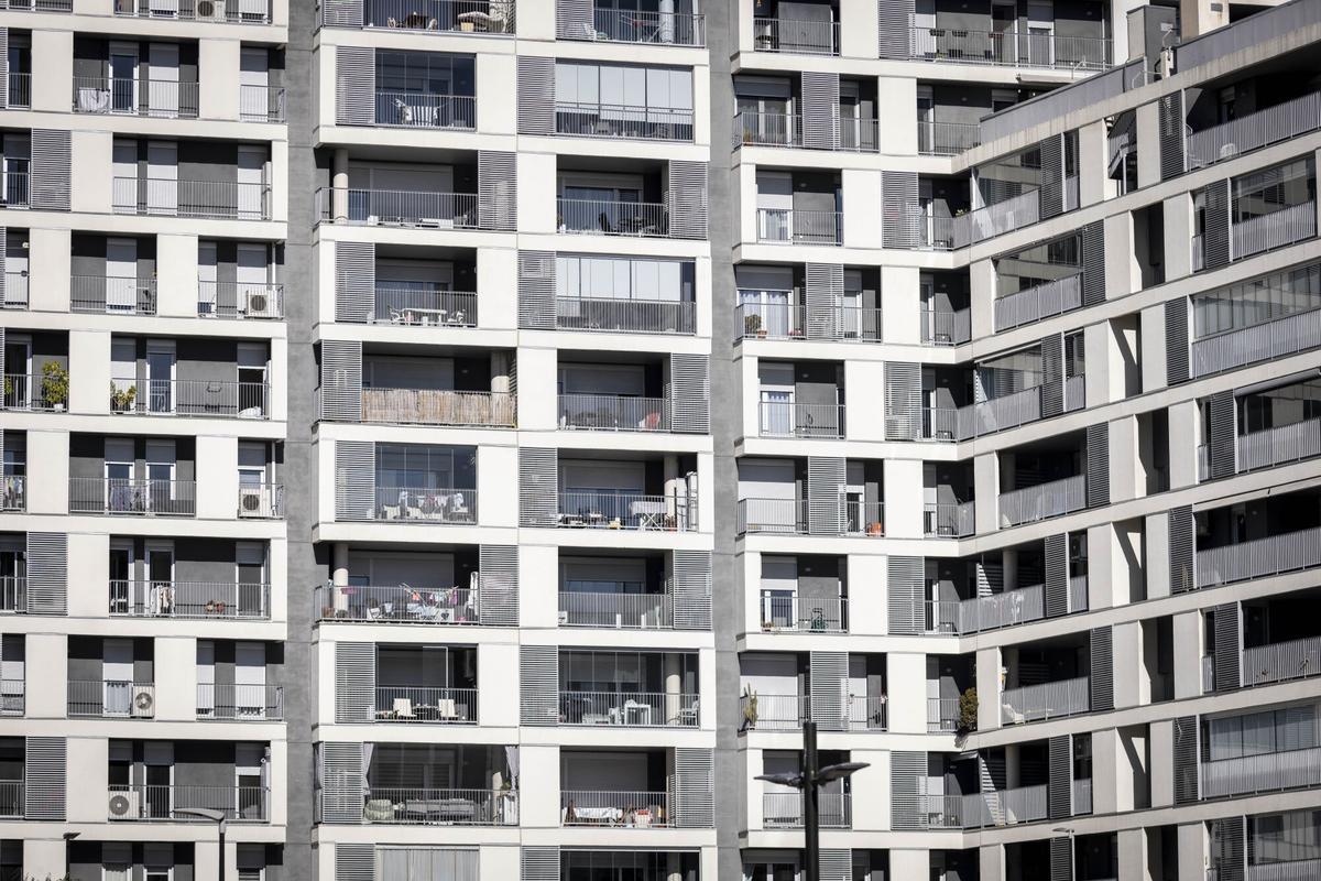 BLOQUES CEBRE - EDIFICIOS CEBRA - NUEVA CONSTRUCCION - VIVIENDA - AVENIDA CATALUÑA
