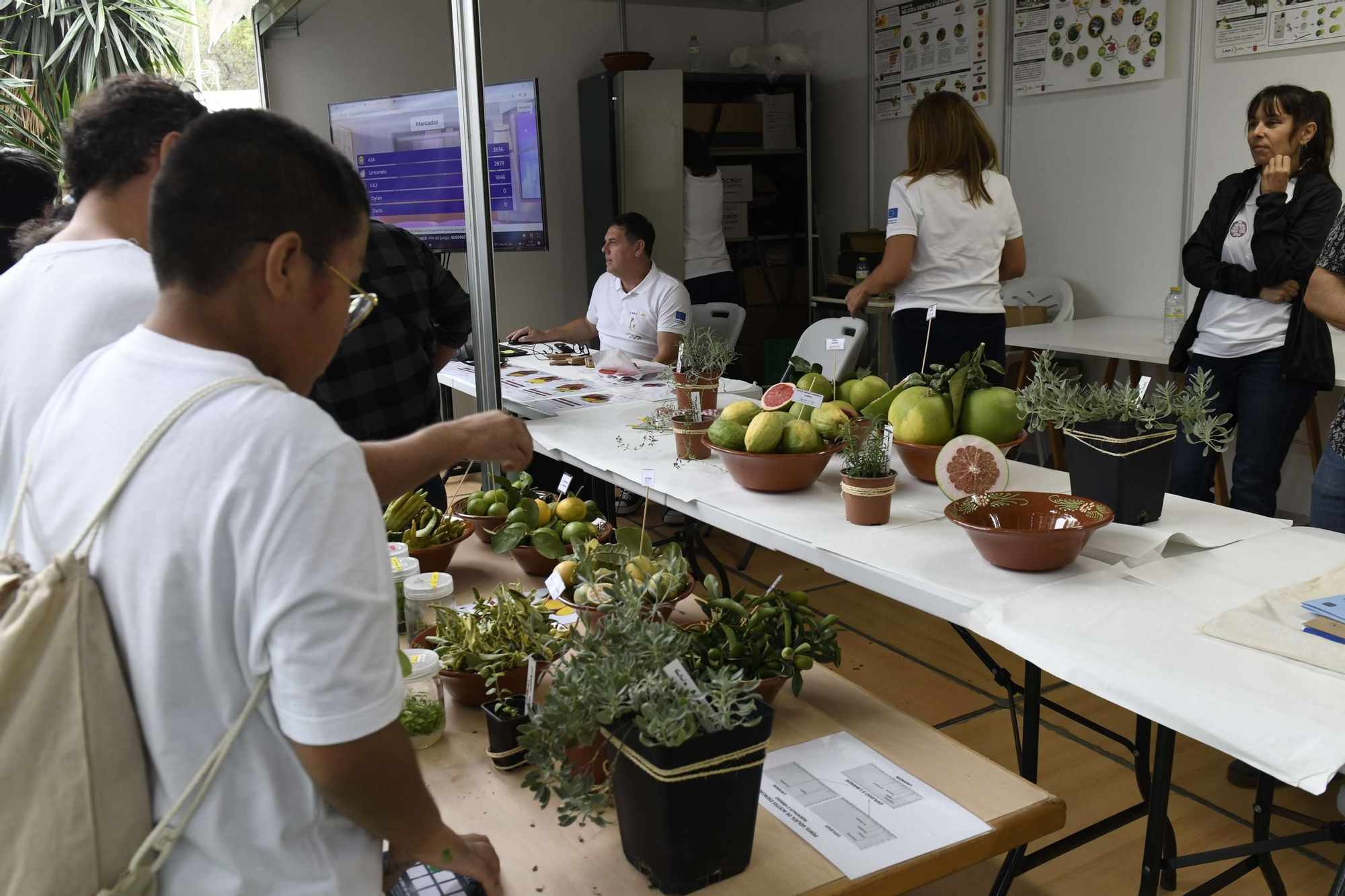 La primera jornada de la Semana de la Ciencia de Murcia, en imágenes