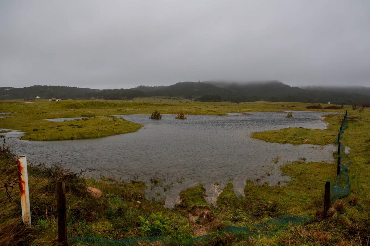 La regeneración del istmo es notable.