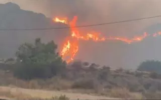 Deu dels onze morts en l’incendi de Los Gallardos (Almeria) són estrangers