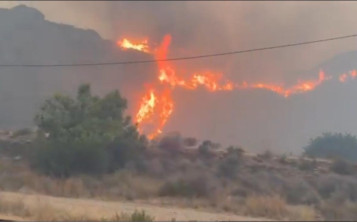 Incendio de Los Gallardos (Almería)
