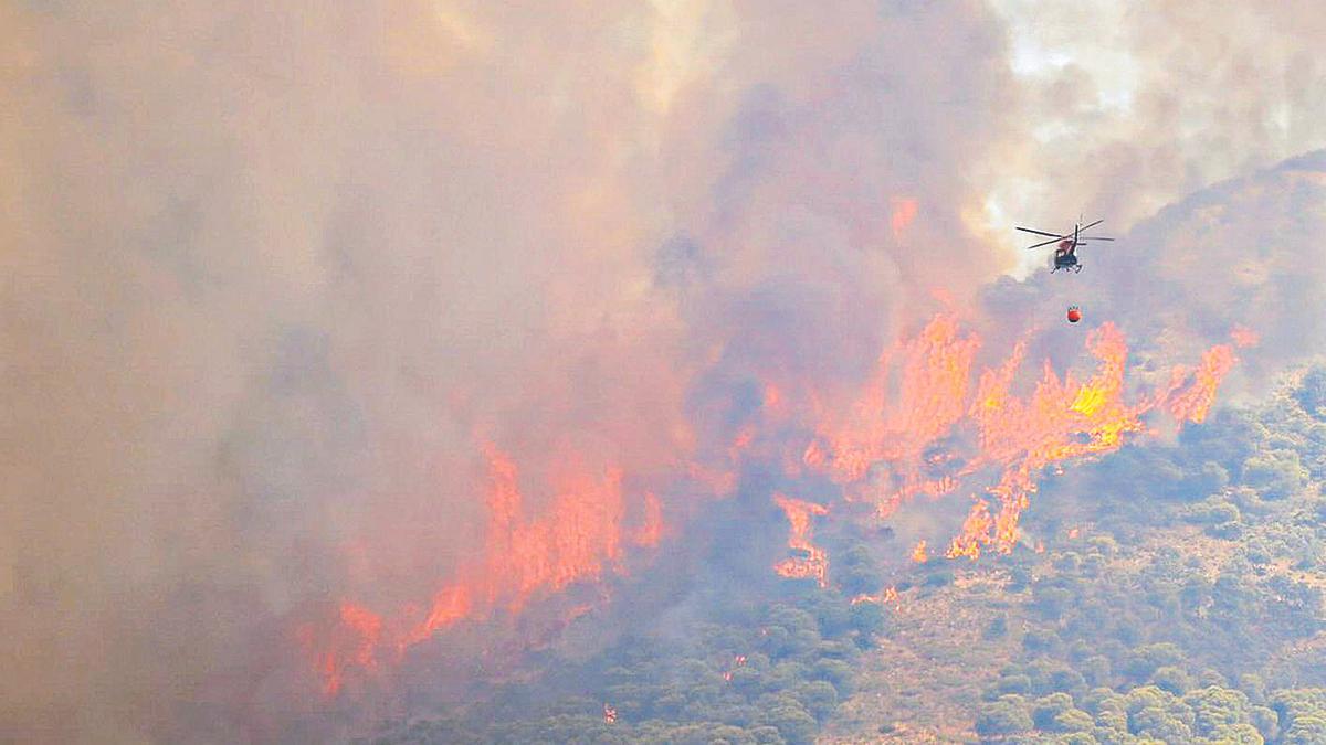 Incendio en la Sierra de Mijas, en el verano de 2022.