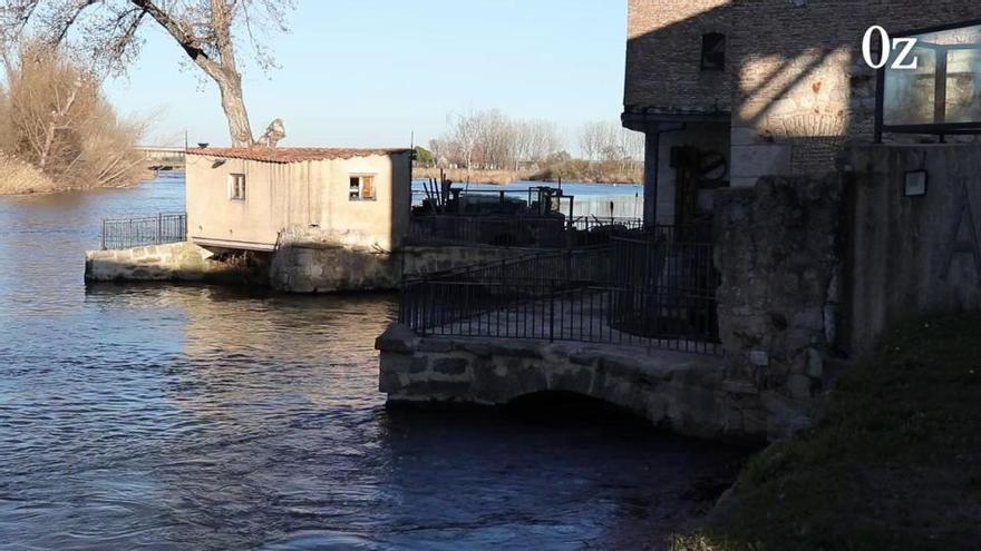 Un paseo por las aceñas de Zamora