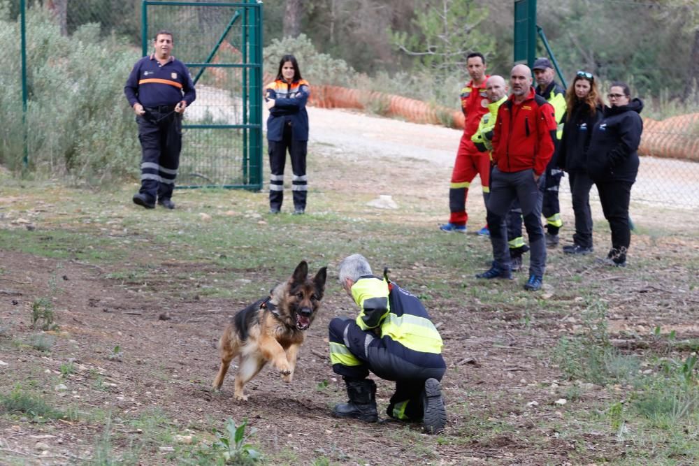 Técnicas de búsqueda de personas con perros