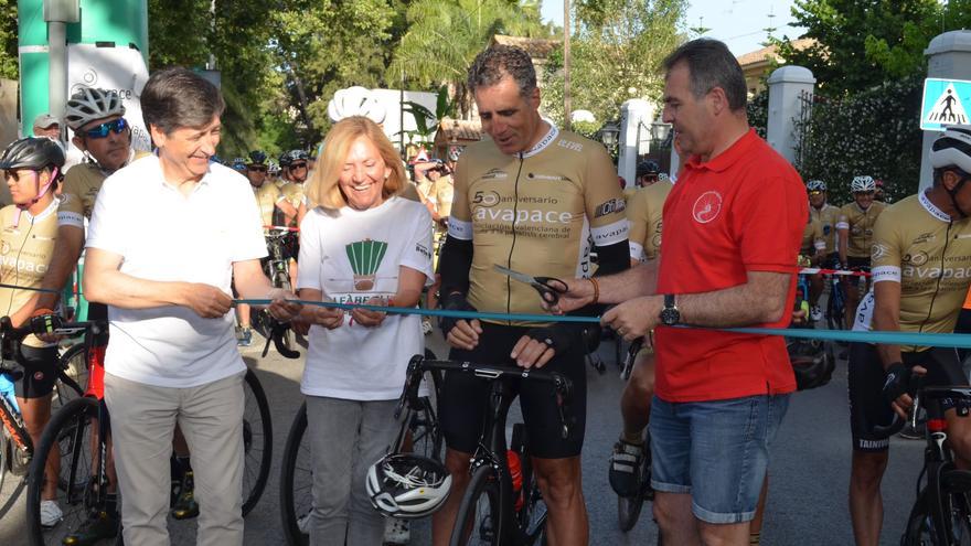 València concedeix la Medalla d&#039;Or de la ciutat a Avapace, Mamás en Acción i Aules de la Tercera Edat de Proted