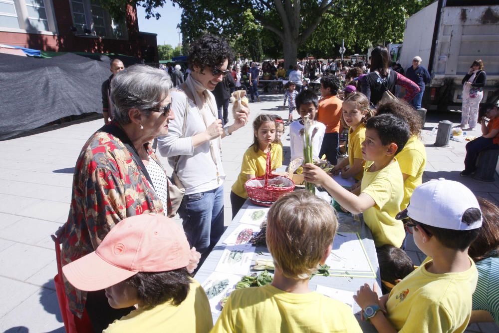 Uns 300 infants fan de paradistes per un dia al Mercat del Lleó