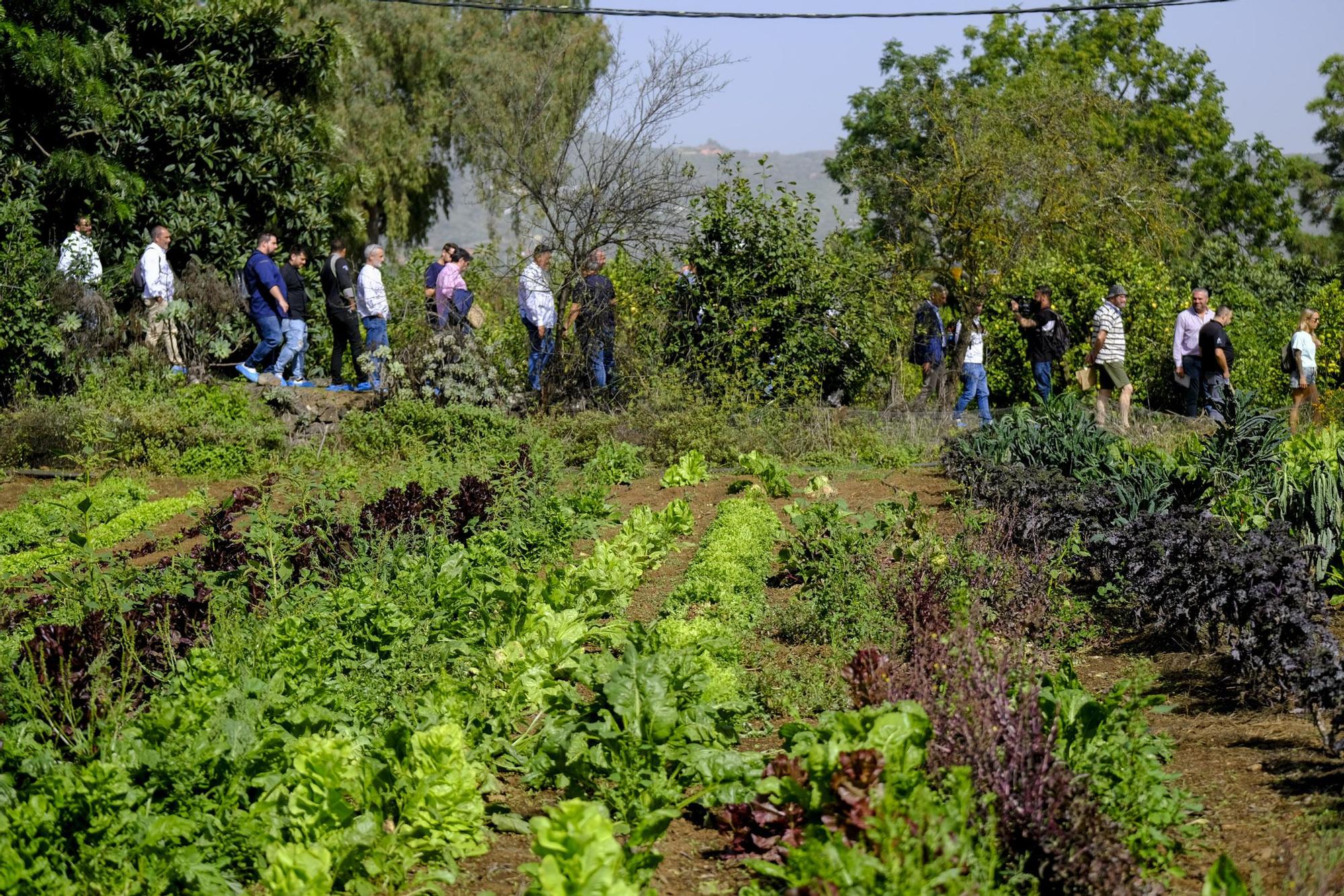 Visita a Ecohuerta Canaria