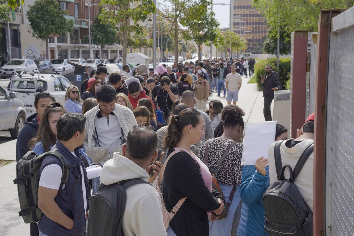 Largas colas en Palma para obtener el informe de vulnerabilidad Largas colas en Palma para obtener el informe de vulnerabilidad