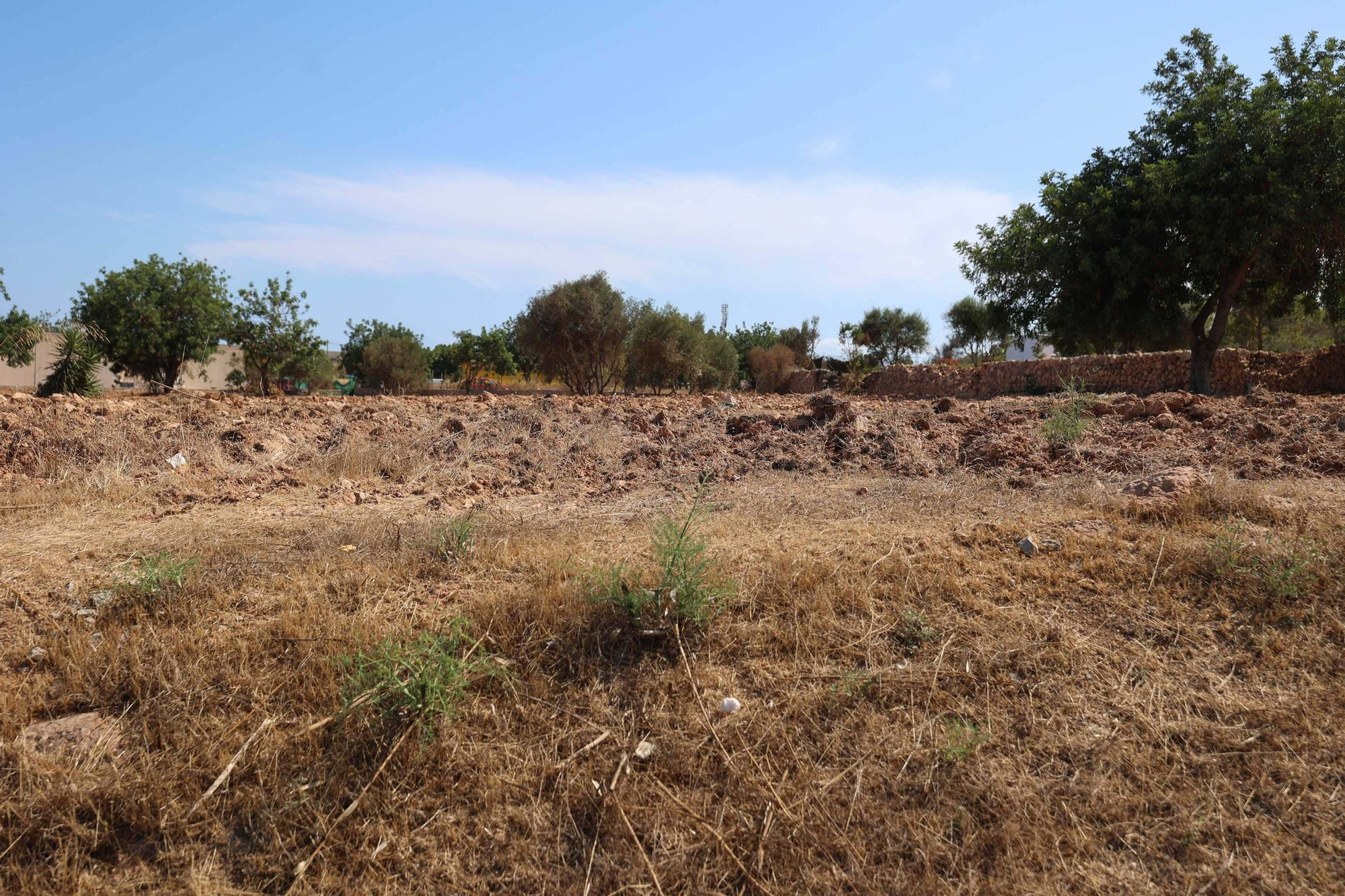 Galería: terreno de Can Rova II completamente despejado por el Ayuntamiento