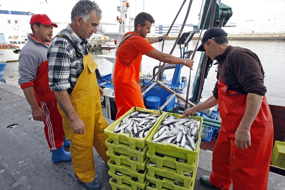 MARINEROS DURANTE LA DESCARGA DE CAJAS REPLETAS DE SARDINAS EN EL MUELLE DE O BERBES DEL PUERTO DE VIGO CON MOTIVO DE LA ALTA DEMANDA LLEGADA LA NOCHE DE SAN JUAN / SAN XOAN. PESCADO. FLOTA DEL CERCO. SARDIÑAS