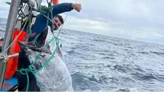 Das Ungetüm aus den Wellen: Fischer geht vor Mallorca 215 Kilogramm-Thunfisch ins Netz