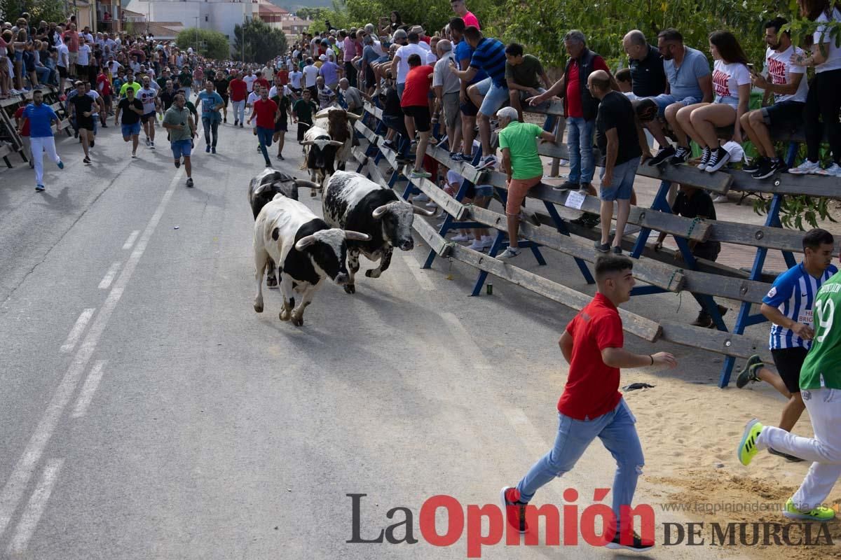 Primer encierro de la Feria del Arroz de Calasparra