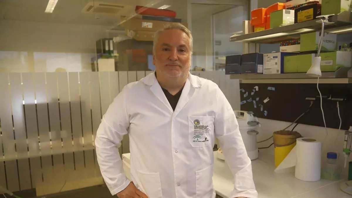 El investigador de Córdoba Raúl Luque avanza en un fármaco pionero en España contra tumores cerebrales raros: "Los tratamientos que hay ahora son muy devastadores"